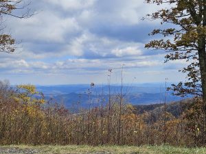 20251031 143355-2000x1500 (1)