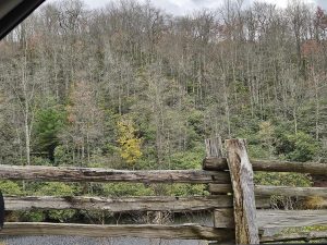 20251031 145303-2000x1500 (1)