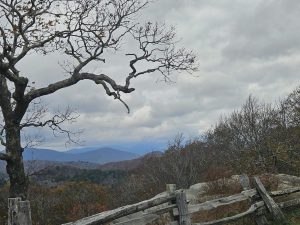 20251031 151943-2000x1500 (1)