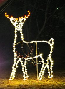 20251221 184226-725x982