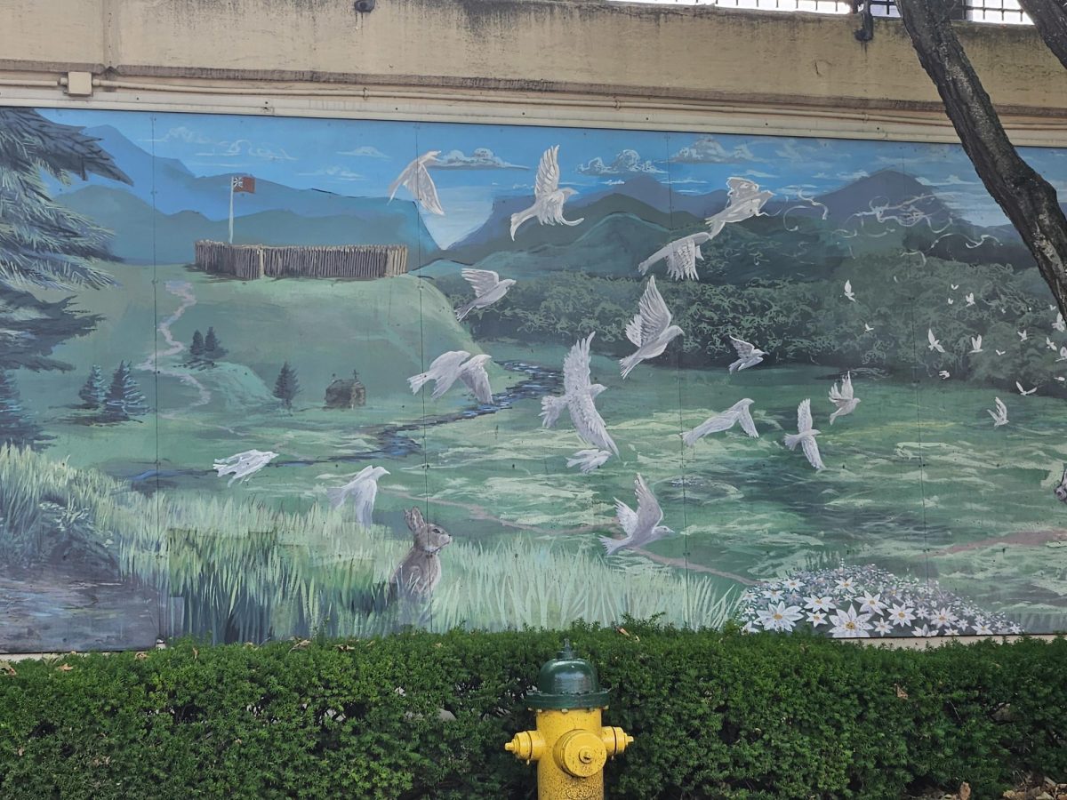 20250612 164059-2000x1500