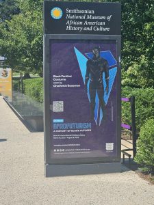 20240813 112645-1500x2000