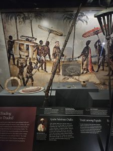 20240813 124423-1500x2000