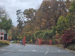 20251028 092845-2000x1500