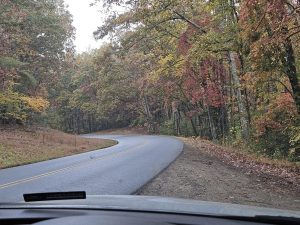 20251028 100829-2000x1500