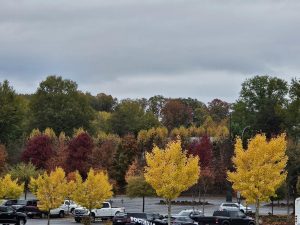 20251028 104901-2000x1500