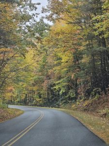 20251028 114153-1500x2000