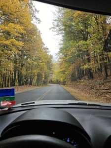 20251028 114307-1500x2000