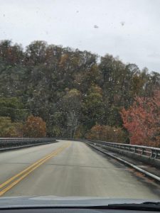 20251028 125033-1500x2000