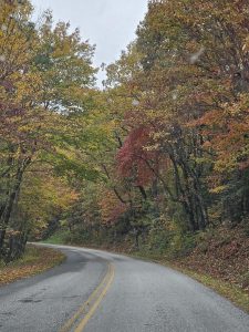 20251028 133006-1500x2000