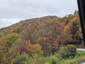 20251028 133801-2000x1500