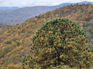 20251028 133841-2000x1500