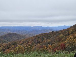 20251028 135701-2000x1500