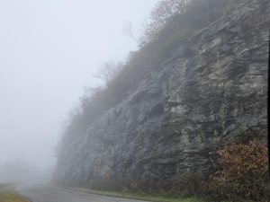 20251028 150254-2000x1500