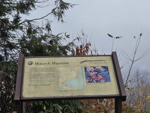 20251028 150848-2000x1500