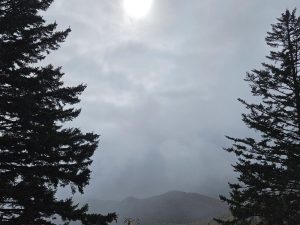 20251028 154411-2000x1500