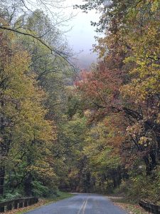 20251028 164608-1500x2000