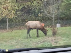 20251028 181435-2000x1500