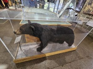 20251030 091711-2000x1500