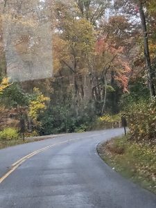 20251030 101528-1500x2000