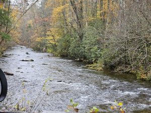 20251030 102021-2000x1500