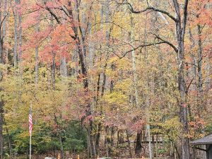 20251030 102947-2000x1500