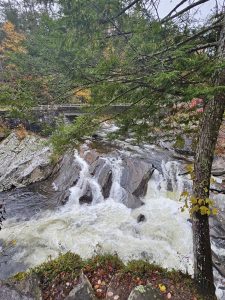 20251030 113845-1500x2000