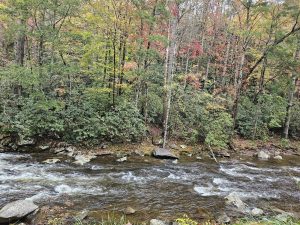 20251030 115742-2000x1500