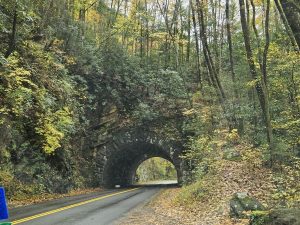 20251030 122346-2000x1500