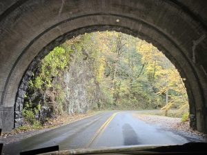 20251030 122409-2000x1500