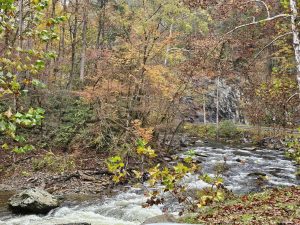 20251030 150905-2000x1500