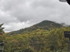 20251030 162042-2000x1500