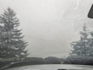 20251030 170026-2000x1500