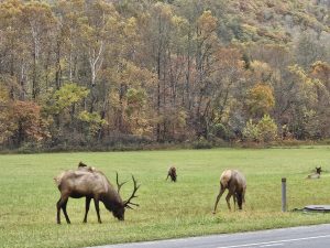 20251030 173358-2000x1500