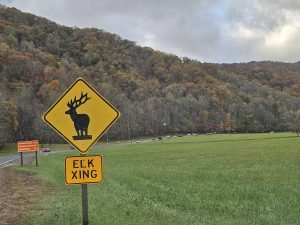 20251030 174400-2000x1500