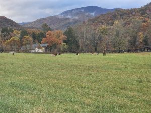 20251030 174550-2000x1500