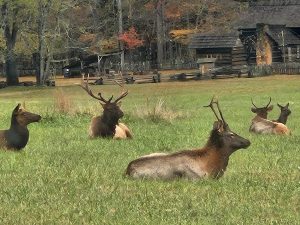 20251030 174639-2000x1500