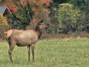 20251030 174649-2000x1500