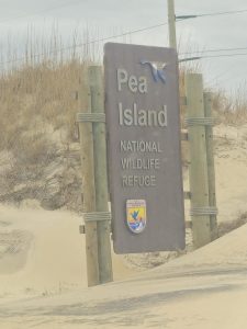 20260316 121517-3060x4080