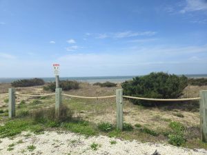 20260316 131516-4080x3060