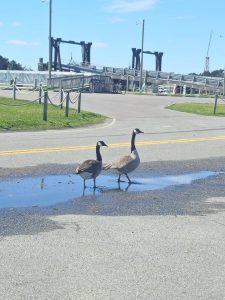 20260317 114829-3060x4080