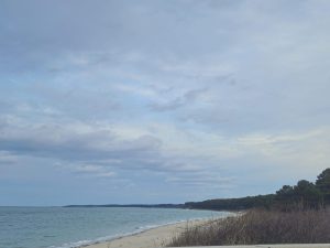 20260318 073519-4080x3060