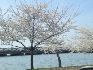 20260326 124310-4080x3060