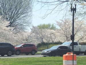 20260326 124519-4080x3060